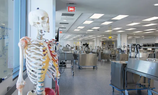 Antmy-lab